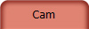 Cam